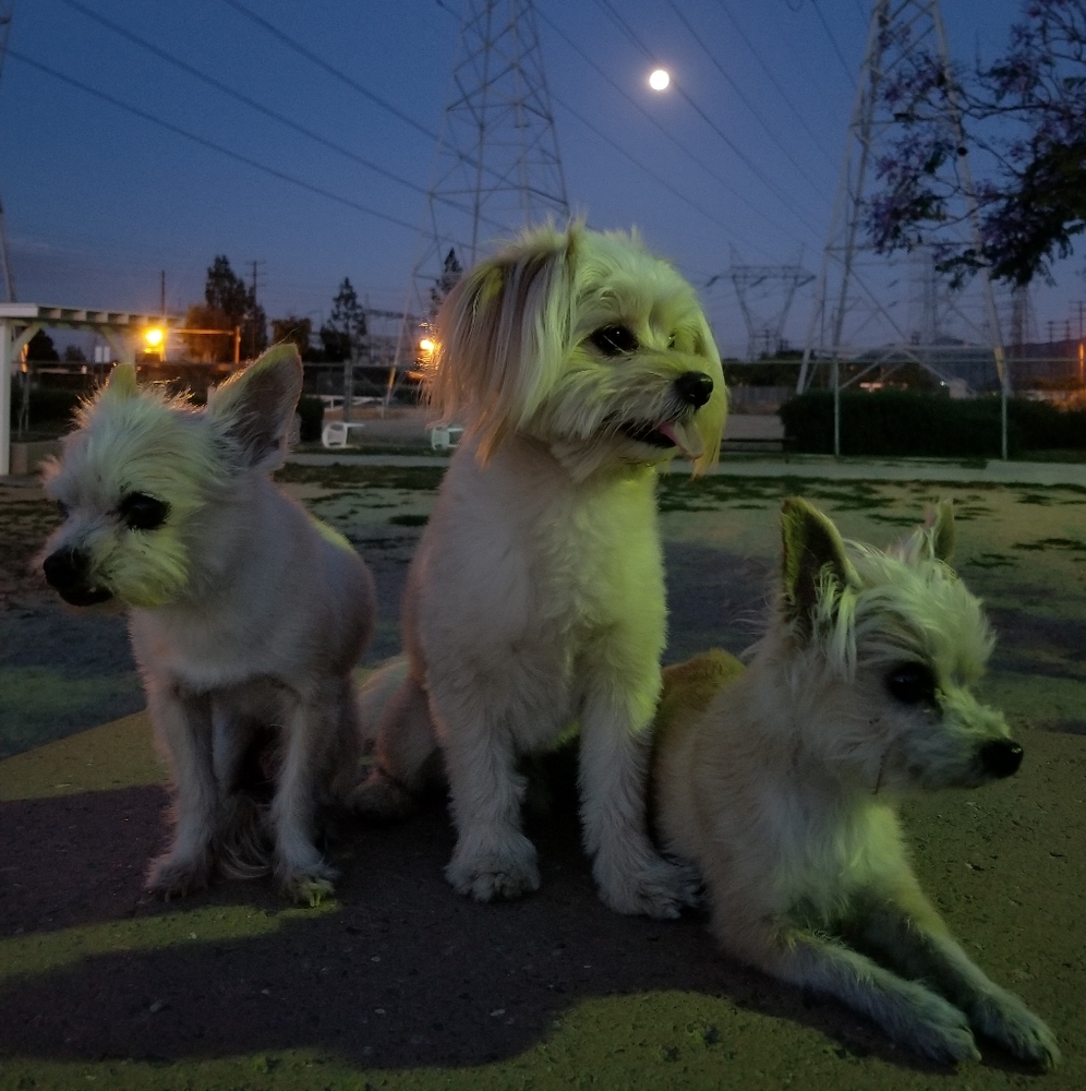 Meet your Posher, Danny